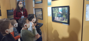 «Алый краешек солнца»