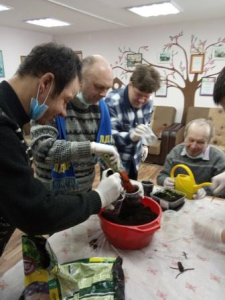 Пересаживаем комнатные растения.