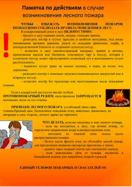 Памятка по действиям в случае возникновения лесного пожара