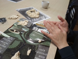 Завораживающий мир мукосолек!