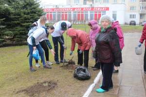 Посадка цветочной рассады и саженцев кустарников на клумбах учреждения.