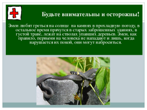 Осторожнро, змеи