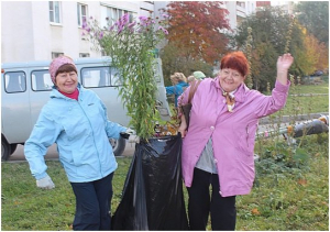 Посадка многолетних цветов на клумбах учреждения.