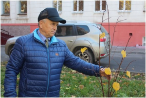 Проверка Аллеи Славы участников Великой Отечественной войны.