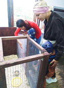 Удивительные животные