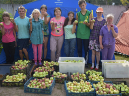Эх, яблочко, да наливное!