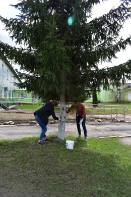 Весенняя неделя добра