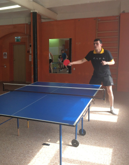 Районные соревнования по настольному теннису