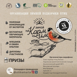 Флешмоб#кормимптиц2021