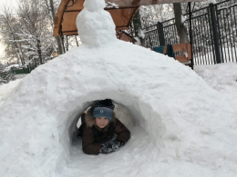 Снежные фантазии