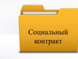 Соцконтракт на осуществление предпринимательской деятельности Соцконтракт на осуществление предпринимательской деятельности