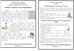 Памятка населению по оказанию помощи людям, терпящим (потерпевшим) бедствия на воде