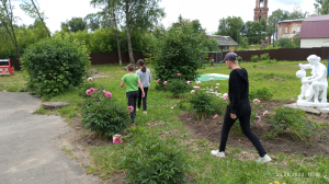 День экологии