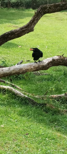 Экскурсия в АртКолхоз