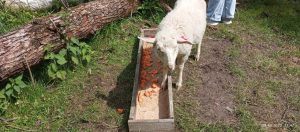 Экскурсия в АртКолхоз