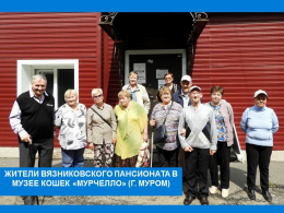 В рамках проектов «Демография» и «Старшее поколение» 