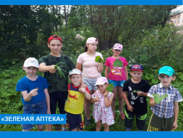 Зелёная аптека