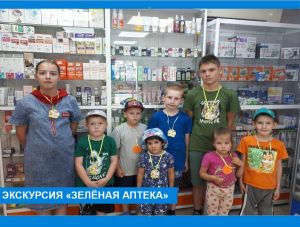 В продолжении темы - "Зелёная аптека"