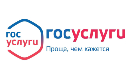 Государственные услуги в электронном виде