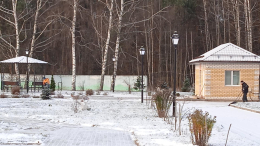 Снежный десант