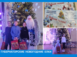 Губернаторские новогодние елки