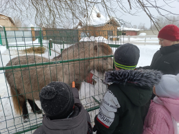 Чудесный день в конном клубе