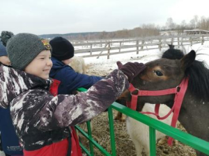 Экскурсия "Мир лошадей"