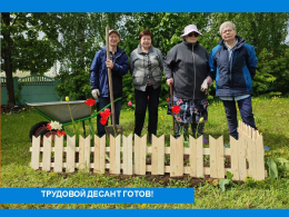 ДУШИСТЫЕ ТРАВЫ ДЛЯ ЧАЕПИТИЯ 