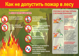 Помним правила поведения в лесу