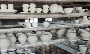 В гостях у гончаров Малаховых