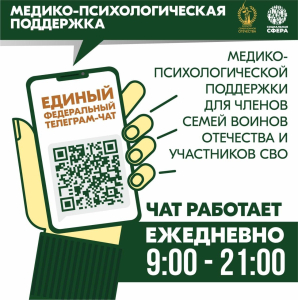 Работает Единый федеральный чат медико-психологической поддержки семей и участников СВО
