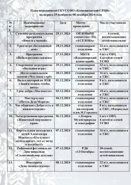 План мероприятий на период с 25 ноября по 08 декабря 2024 г.