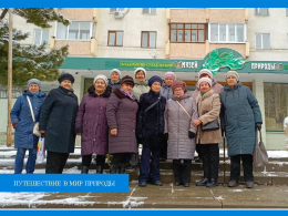 Путешествие в мир природы