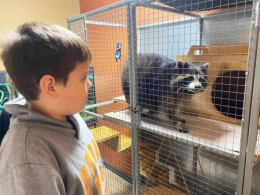 Мы в ответе за тех, кого приручили