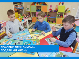 Покормите птиц зимой!