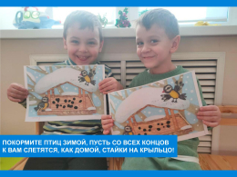 Покорми пернатого друга