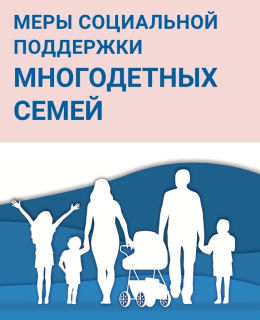Меры социальной поддержки многодетных семей