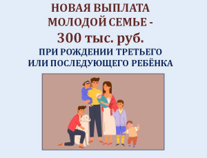 Во Владимирской области для молодых семей, в которых родился третий или последующий ребенок, предусмотрена новая единовременная выплата