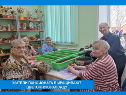 ДЕЛА ЦВЕТОЧНЫЕ 
