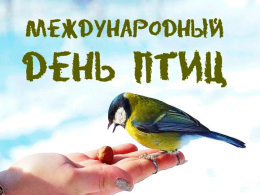 Птицы - наши друзья 