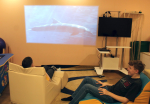 Волшебный мир сенсорной комнаты