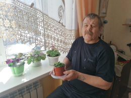 Фиалки в доме милосердия: история заботы и любви