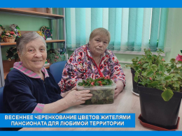 ДЕЛА ЦВЕТОЧНЫЕ