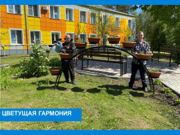 Цветущая гармония
