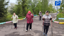 Скандинавская ходьба