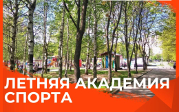 Социальный проект «Летняя академия спорта» стартует во Владимире 10 июня 