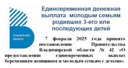 Единовременная денежная выплата  молодым семьям родивших 3-его или последующих детей