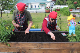 Во саду ли, в огороде…