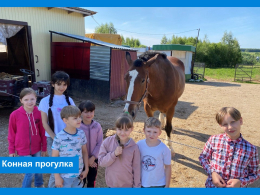 Конная прогулка