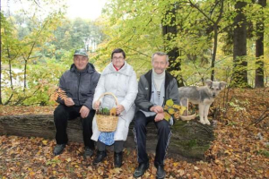 Золотая осень